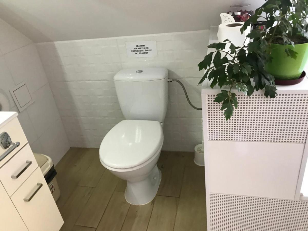 Agroturystyka Barycz 46 Konskie Bagian luar foto