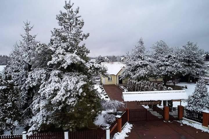 Agroturystyka Barycz 46 Konskie Bagian luar foto