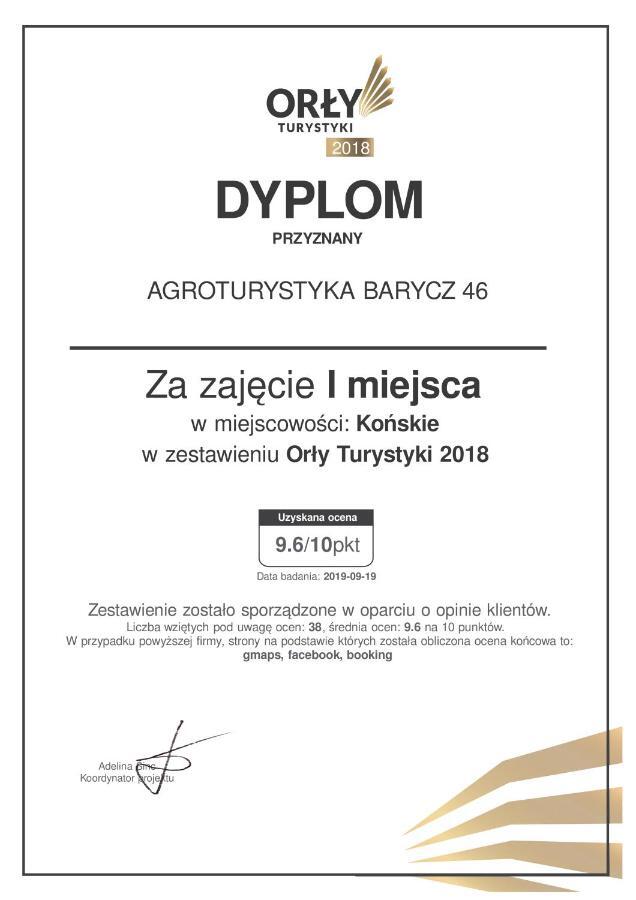 Agroturystyka Barycz 46 Konskie Bagian luar foto